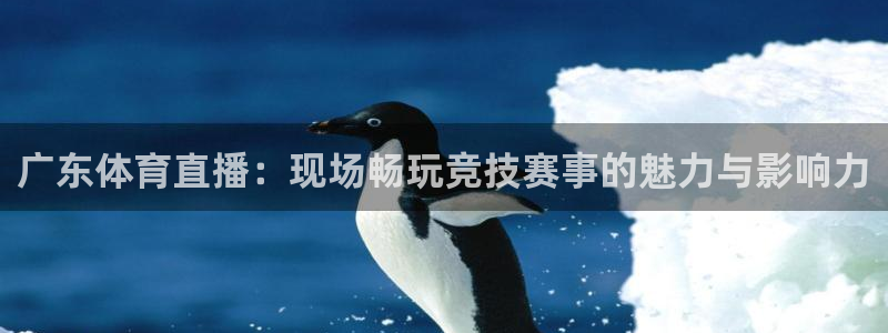 广东体育直播：现场畅玩竞技赛事的魅力与影响力