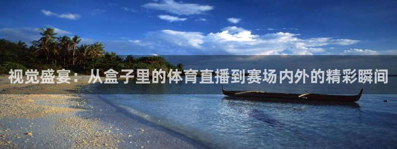 视觉盛宴：从盒子里的体育直播到赛场内外的精彩瞬间
