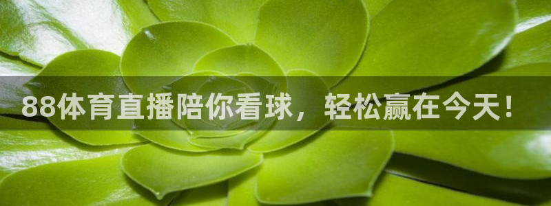 88体育直播陪你看球，轻松赢在今天！